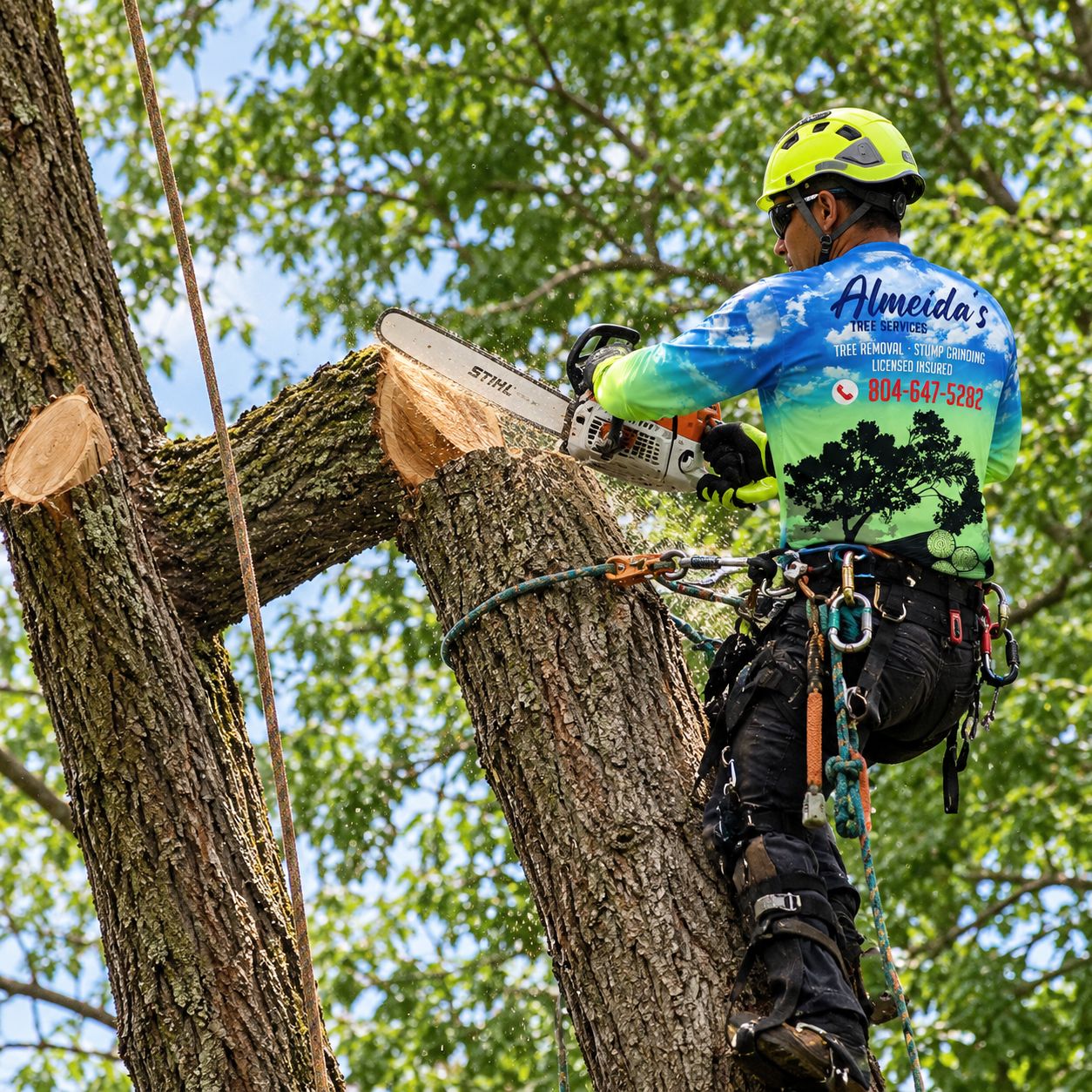 Climber in a helmet and safety glasses cutting a large limb